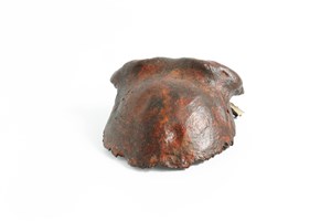 Image description is not available for 1983.23.1